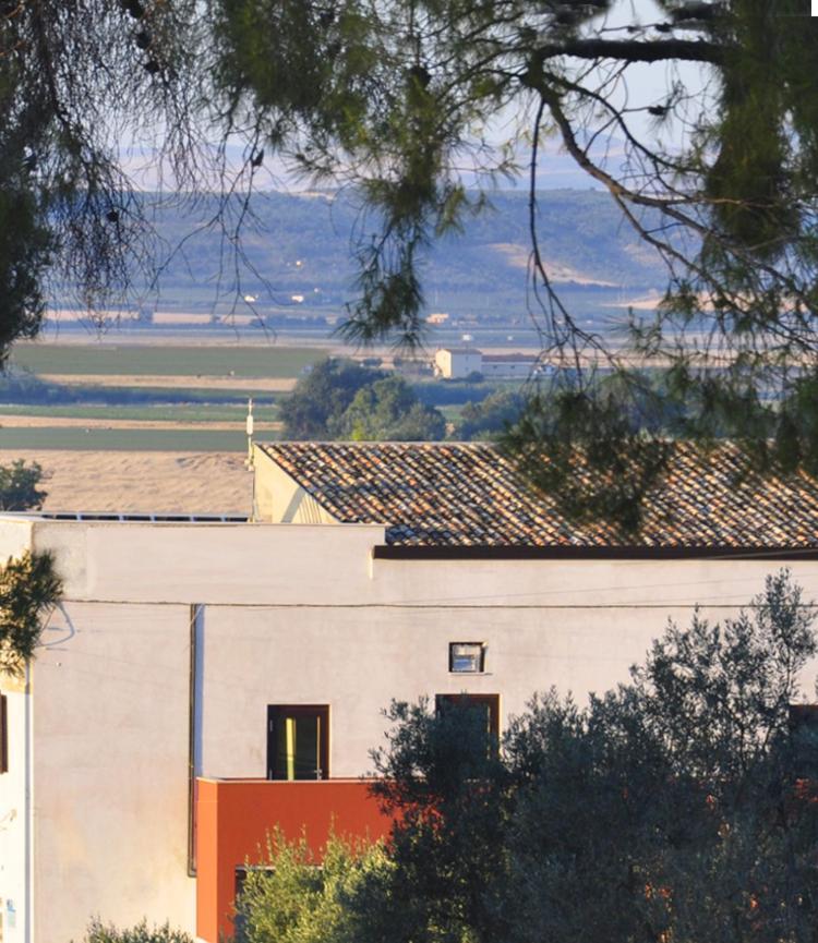 Masseria Agriturismo Moschella Posta Piana Εξωτερικό φωτογραφία