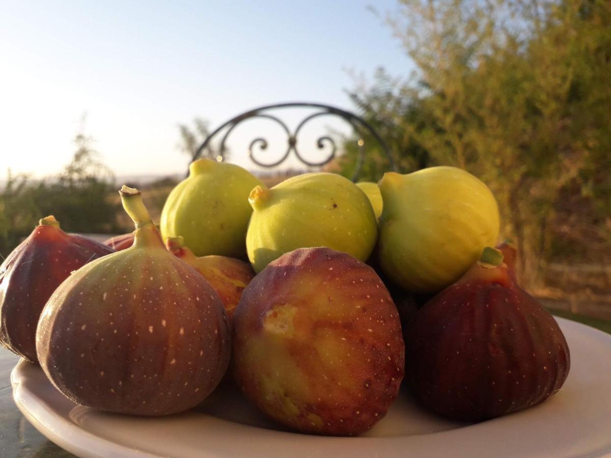 Masseria Agriturismo Moschella Posta Piana Εξωτερικό φωτογραφία