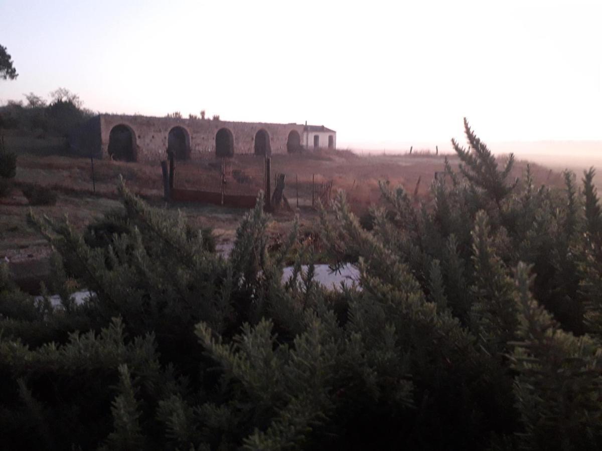 Masseria Agriturismo Moschella Posta Piana Εξωτερικό φωτογραφία